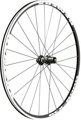 RCX